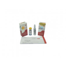 GHRP 6 5mg (ГХРП 6 5мг)