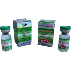 Gonadotropin 1/5000 IU(Гонадотропин 1 фл/5000МО)